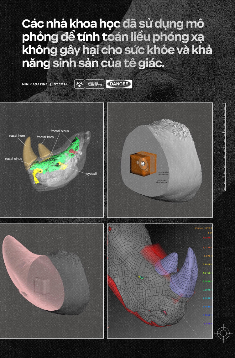 Nam Phi đặt chất phóng xạ vào sừng tê giác: Lời cảnh tỉnh cho các thị trường tiêu thụ bột sừng như Việt Nam- Ảnh 18.