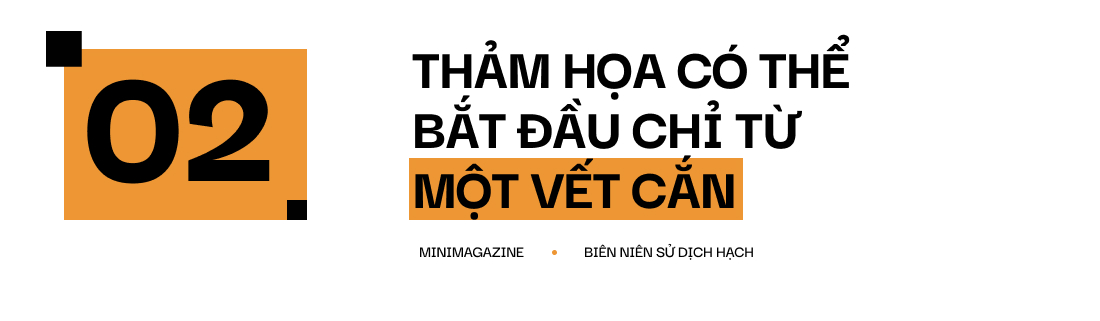 Một biên niên sử về dịch hạch tại Việt Nam và "Cái chết đen" từng xóa sổ 50% dân số Châu Âu trong quá khứ- Ảnh 7.