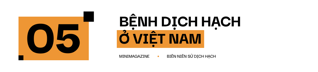 Một biên niên sử về dịch hạch tại Việt Nam và "Cái chết đen" từng xóa sổ 50% dân số Châu Âu trong quá khứ- Ảnh 23.