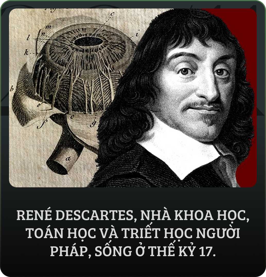 Giấc mơ mặc khải của Descartes hay "Hội chứng đầu nổ tung": Thứ đã mở ra toàn bộ hình học giải tích không gian và nền triết học cho nhân loại- Ảnh 3.