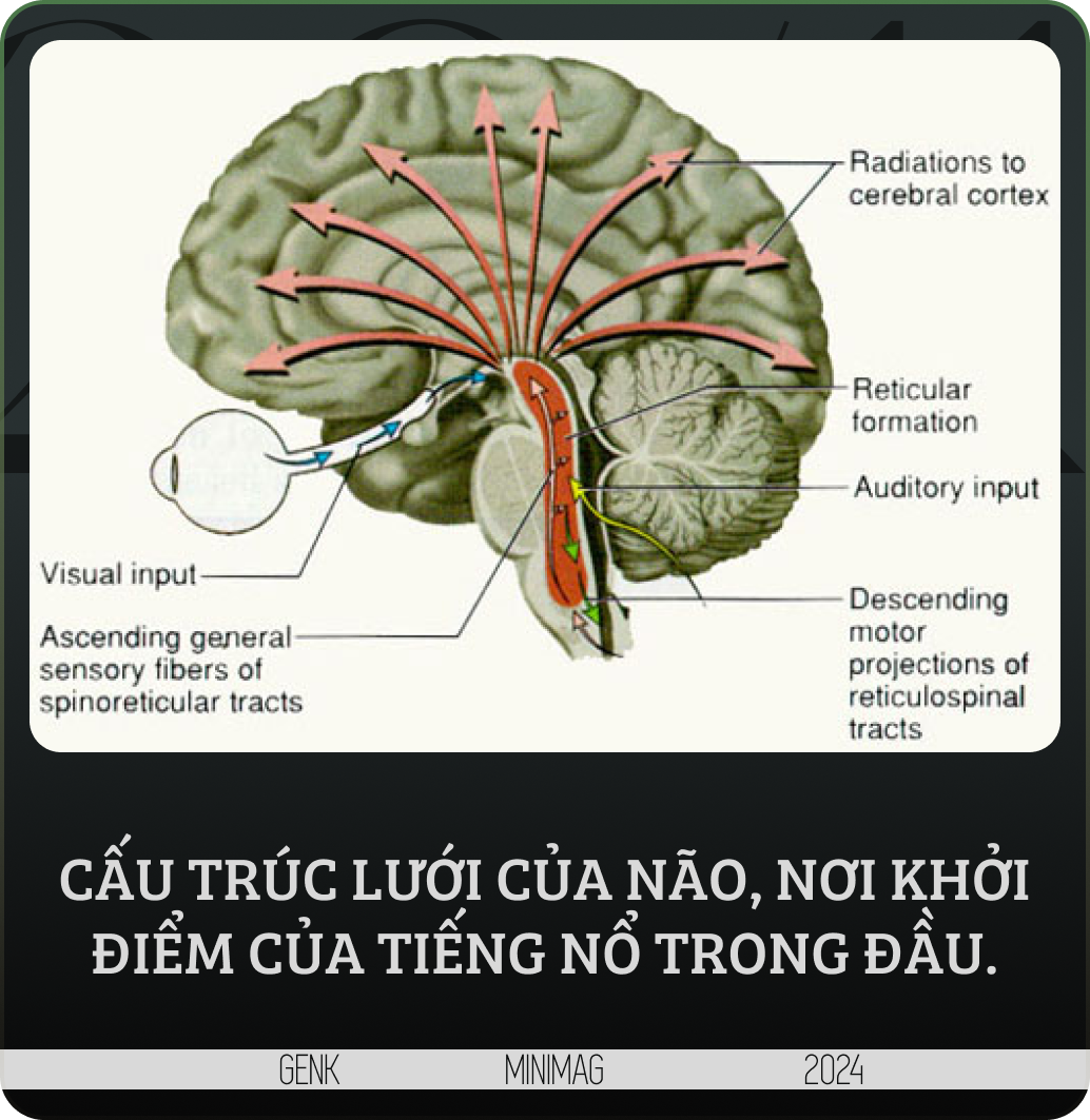 Giấc mơ mặc khải của Descartes hay "Hội chứng đầu nổ tung": Thứ đã mở ra toàn bộ hình học giải tích không gian và nền triết học cho nhân loại- Ảnh 13.