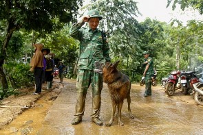 Lào Cai: Chó nghiệp vụ được huy động tìm kiếm nạn nhân mất tích tại Làng Nủ