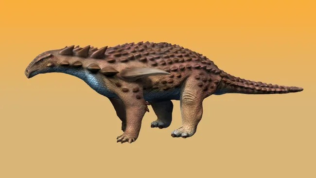 Áo giáp của khủng long Ankylosaur có thể chịu được tác động của một vụ tai nạn xe hơi tốc độ cao không?- Ảnh 3.