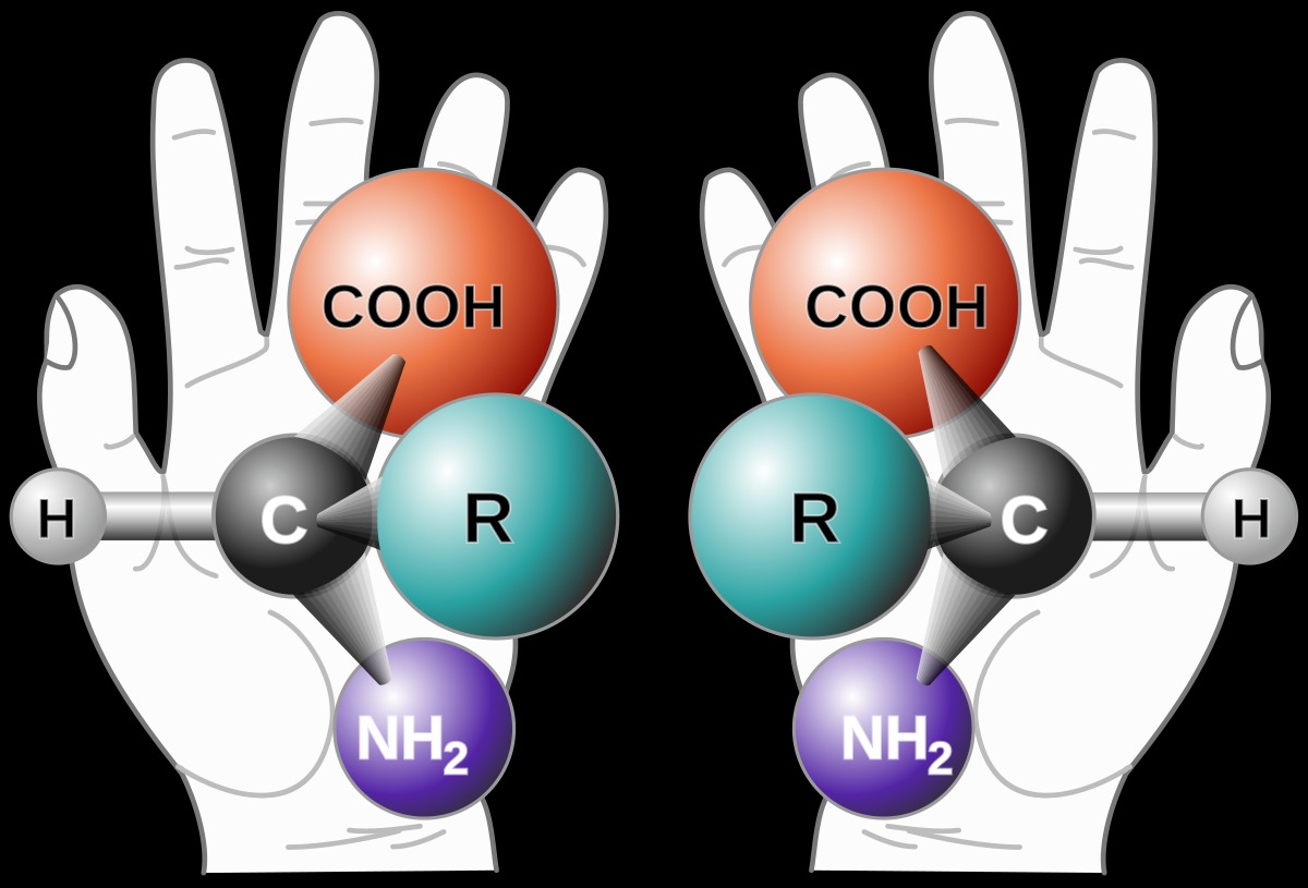 NASA đã phát hiện ra một biến dạng RNA có thể xác định lại câu chuyện nguồn gốc của sự sống- Ảnh 1.