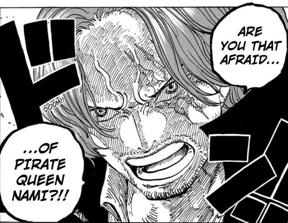 Những meme vui nhộn về việc Jinbe sợ Nami trong One Piece- Ảnh 6.