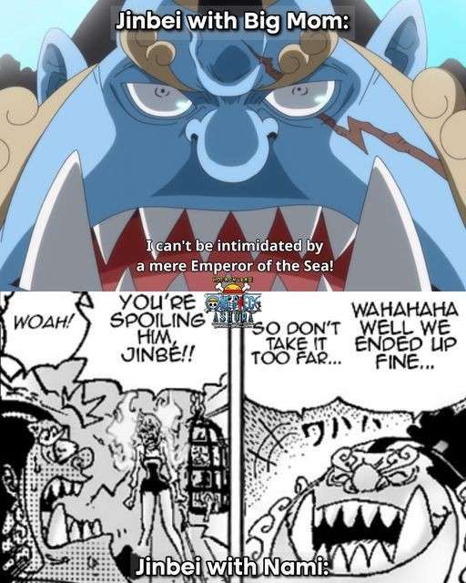 Những meme vui nhộn về việc Jinbe sợ Nami trong One Piece- Ảnh 1.