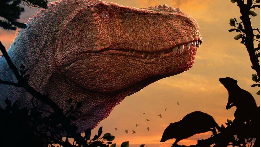 Hóa ra động vật có vú hiện đại bị 'mù màu' đều là do khủng long bạo chúa Tyrannosaurus rex?- Ảnh 2.