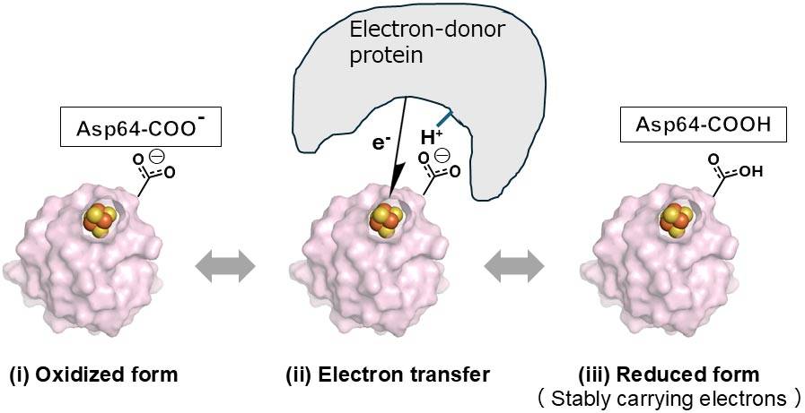 Khám phá ra công tắc nano: Bước đột phá cho cảm biến và y học- Ảnh 3.