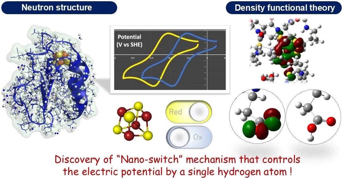 Khám phá ra công tắc nano: Bước đột phá cho cảm biến và y học- Ảnh 2.