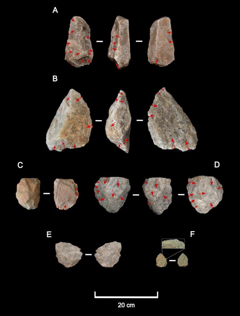 Làm thế nào mà Homo erectus có thể sống sót trên sa mạc hơn một triệu năm trước?- Ảnh 3.