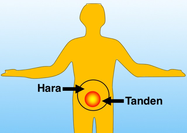 Ảnh chụp y tế cho thấy Đông Y đã đúng: Đan điền có thể quyết định trí thông minh và sức mạnh thể chất của bạn- Ảnh 2.