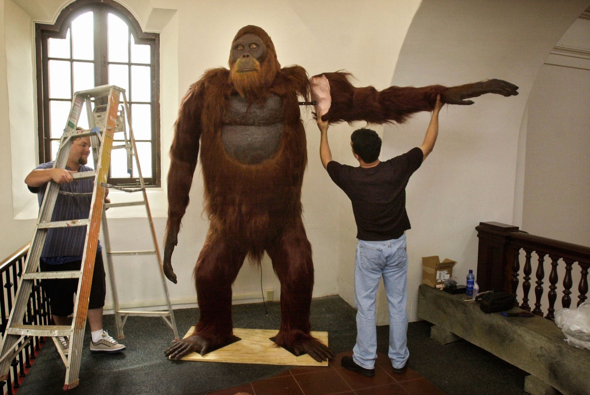 Tại sao Gigantopithecus - loài vượn lớn nhất mọi thời đại từng sinh sống tại Việt Nam lại tuyệt chủng?- Ảnh 2.