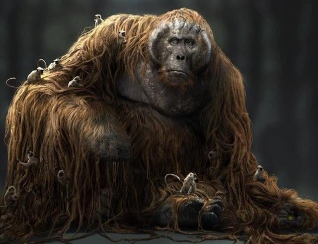 Tại sao Gigantopithecus - loài vượn lớn nhất mọi thời đại từng sinh sống tại Việt Nam lại tuyệt chủng?- Ảnh 4.